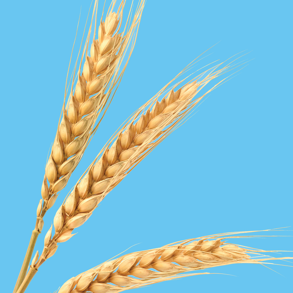 Godrej Agrovet